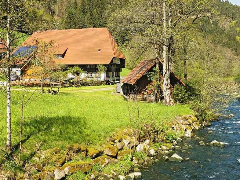Gaestehaus Ursula Hornberg Luaran gambar