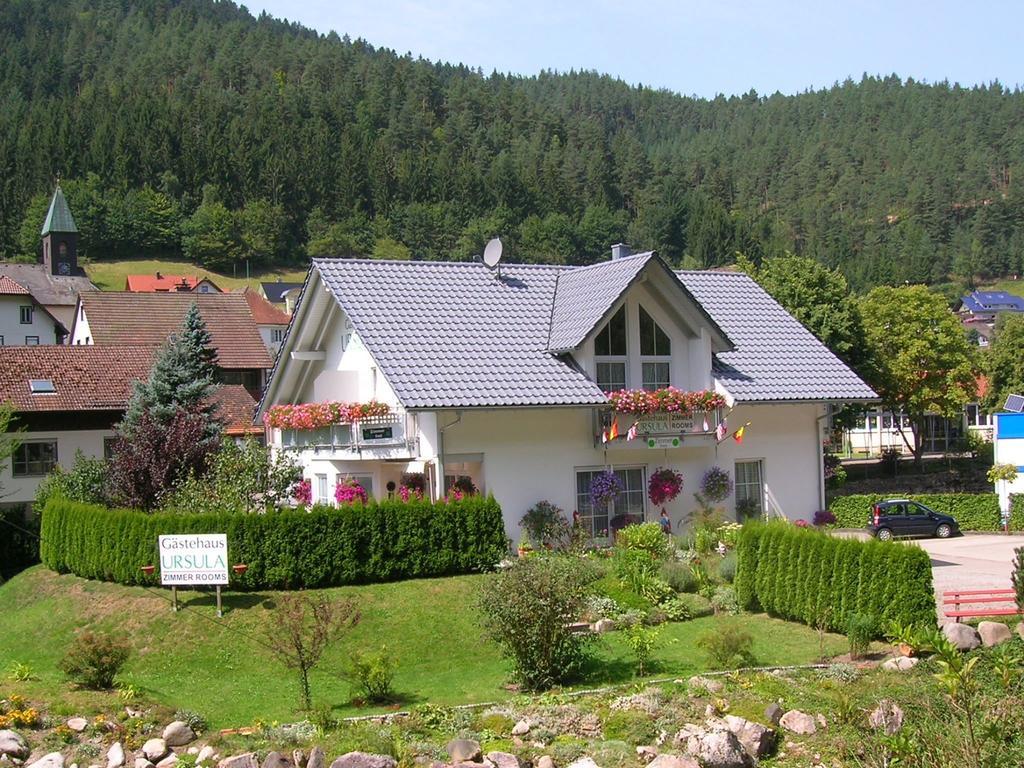 Gaestehaus Ursula Hornberg Luaran gambar