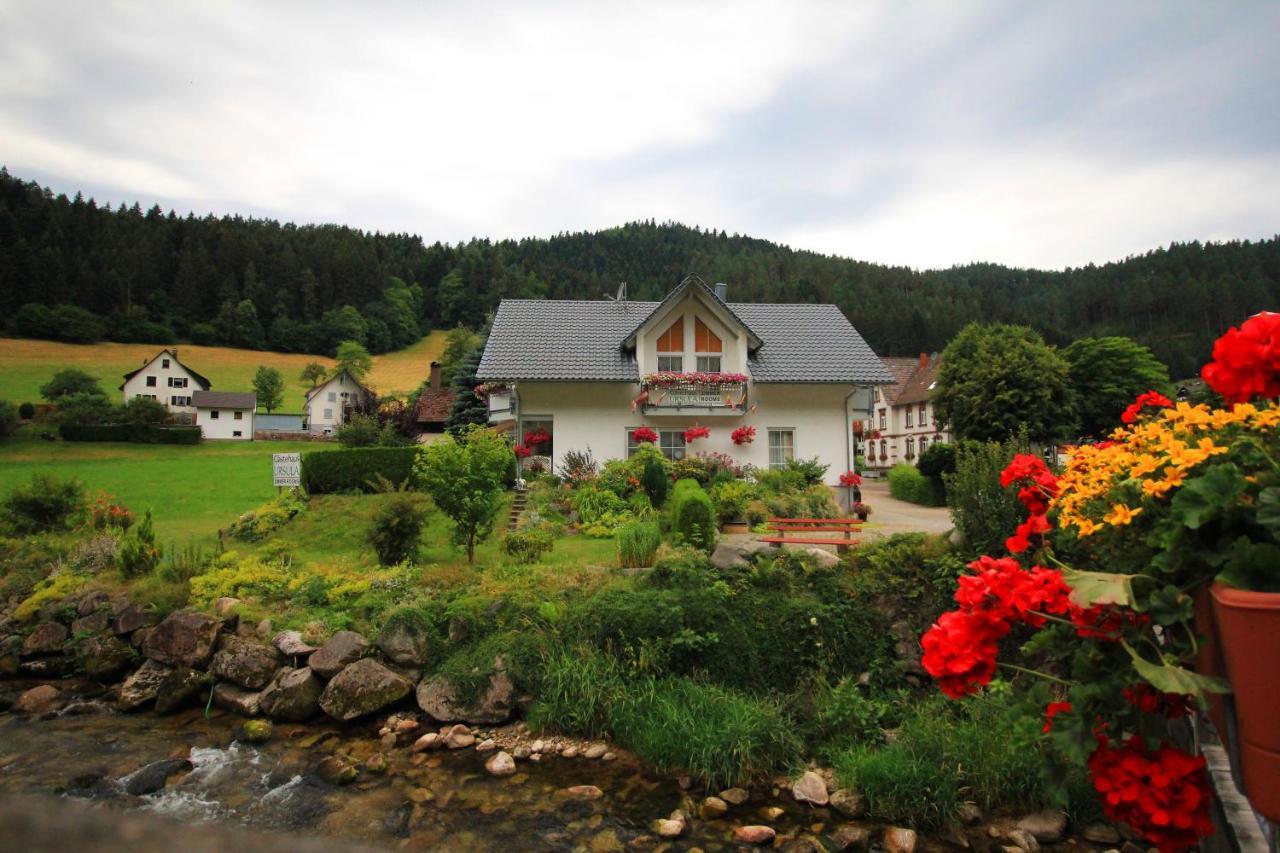 Gaestehaus Ursula Hornberg Luaran gambar